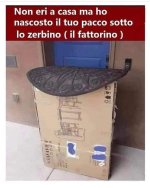 FB_IMG_1637599486385.jpg