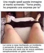 FB_IMG_1637565871119.jpg
