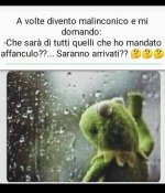 FB_IMG_1637336843116.jpg