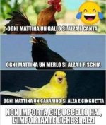 FB_IMG_1637689256693.jpg