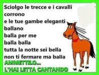 FB_IMG_1637689224328.jpg