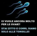 FB_IMG_1637688940081.jpg