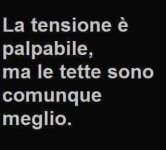 FB_IMG_1637775547831.jpg