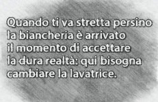 FB_IMG_1637771498600.jpg