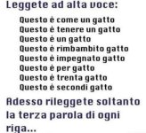 FB_IMG_1637675154490.jpg
