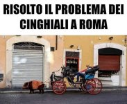 FB_IMG_1637829381673.jpg