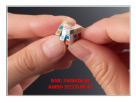 Previsione.png