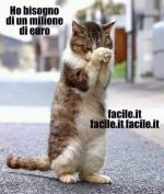 FB_IMG_1638008151508.jpg