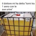 FB_IMG_1638119873689.jpg