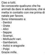 FB_IMG_1638101312868.jpg