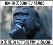 FB_IMG_1637327248964.jpg