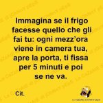 FB_IMG_1638203509528.jpg