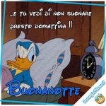 FB_IMG_1637307774594.jpg