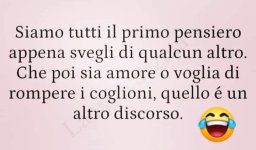 FB_IMG_1638371648081.jpg