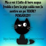 FB_IMG_1638351319541.jpg