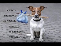 DIVERTEpadrone-di-razza-600x450.jpg
