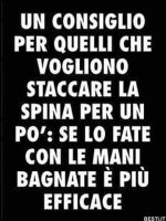 FB_IMG_1638550052667.jpg