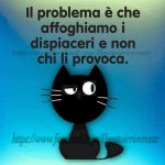 FB_IMG_1638539014171.jpg
