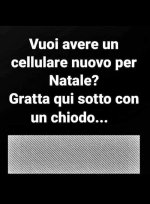 FB_IMG_1638602680391.jpg
