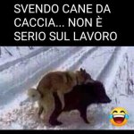 FB_IMG_1638343566290.jpg