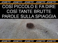 immagine-divertentissima-da-morir-da-ridere.jpg
