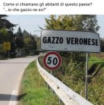 FB_IMG_1638343555239.jpg