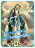 Buona-Festa-dellImmacolata-Concezione-WhatsApp.jpg