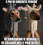 FB_IMG_1638976885244.jpg