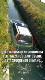 FB_IMG_1638960003716.jpg