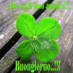 1236199_596624320390062_2106448845_n.jpg 1236199_596624320390062_2106448845_n.jpg