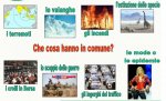 cosa hanno in comune.jpg