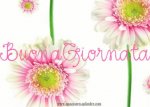 buonagioes5.jpg