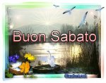 sab.jpg