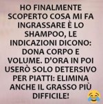 FB_IMG_1639325038903.jpg