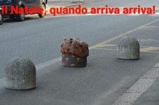 FB_IMG_1639324954745.jpg