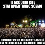 FB_IMG_1639416840909.jpg