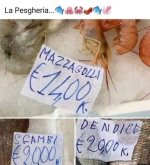 FB_IMG_1639413796408.jpg
