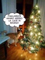 FB_IMG_1639413381952.jpg