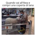 FB_IMG_1639211668584.jpg