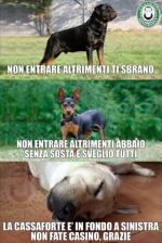 83b8f54d5f0043fc0c395230f137f705.png