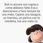FB_IMG_1639829351691.jpg