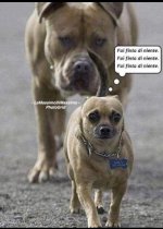 FB_IMG_1640179381176.jpg