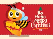 buon-natale-un-ape-carina-regge-regalo-natalizio-con-una-grande-cartolina-di-auguri-felice-ros...jpg