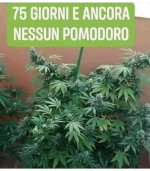 FB_IMG_1640603395001.jpg
