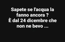 FB_IMG_1640683827868.jpg