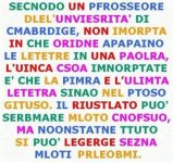 FB_IMG_1640953682834.jpg
