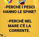 FB_IMG_1641227328431.jpg