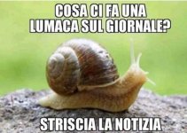 FB_IMG_1641461974002.jpg