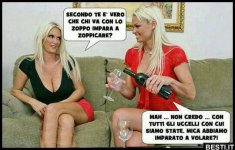 3a082491a48a5dffff0a943310d68a4e.jpg