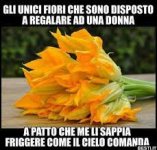 images (8).jpg